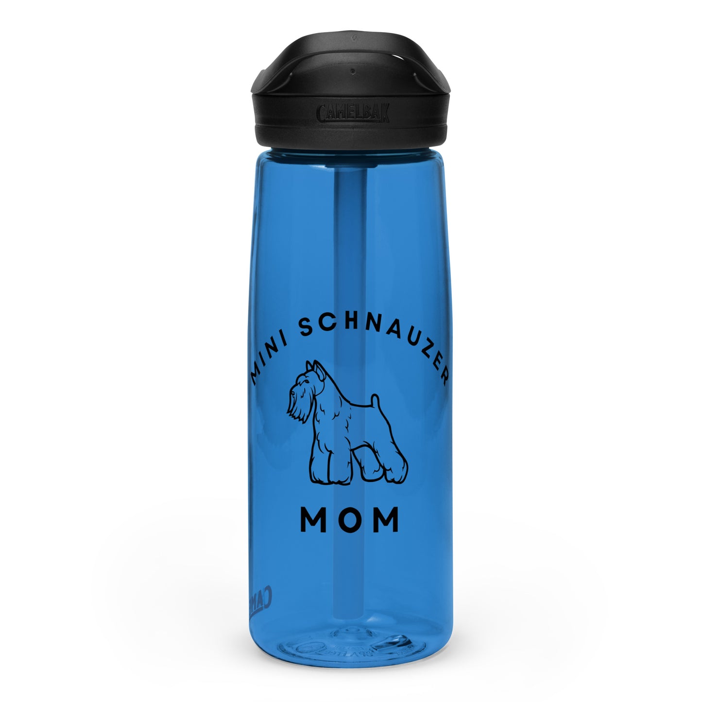Sports water bottle