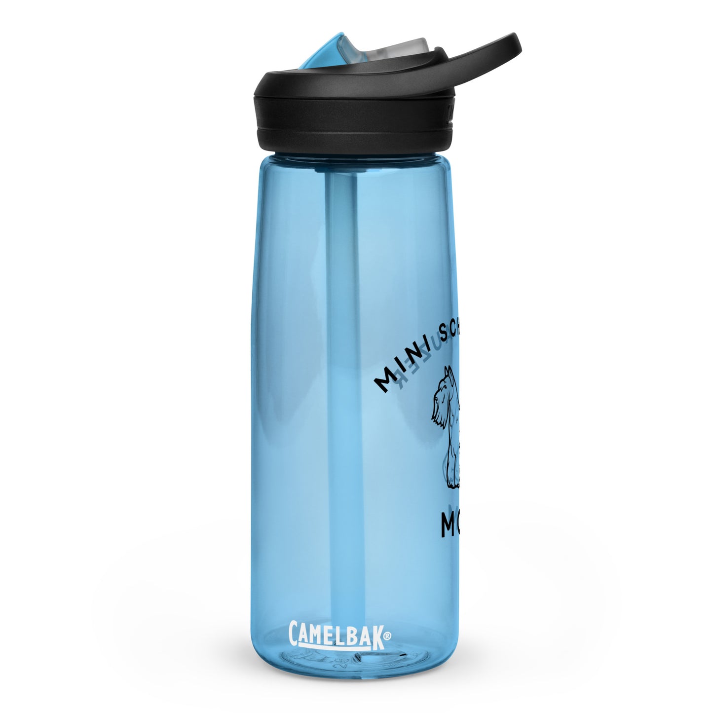 Sports water bottle