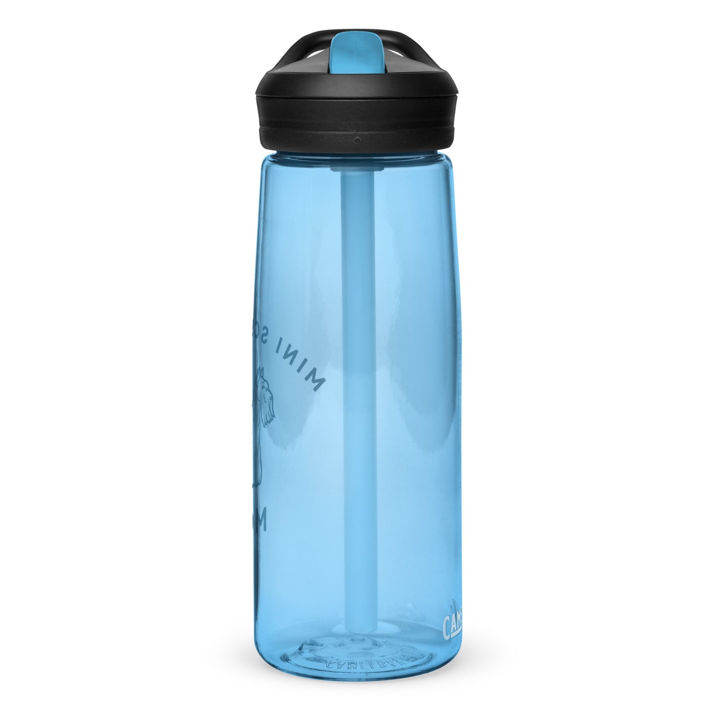 Sports water bottle