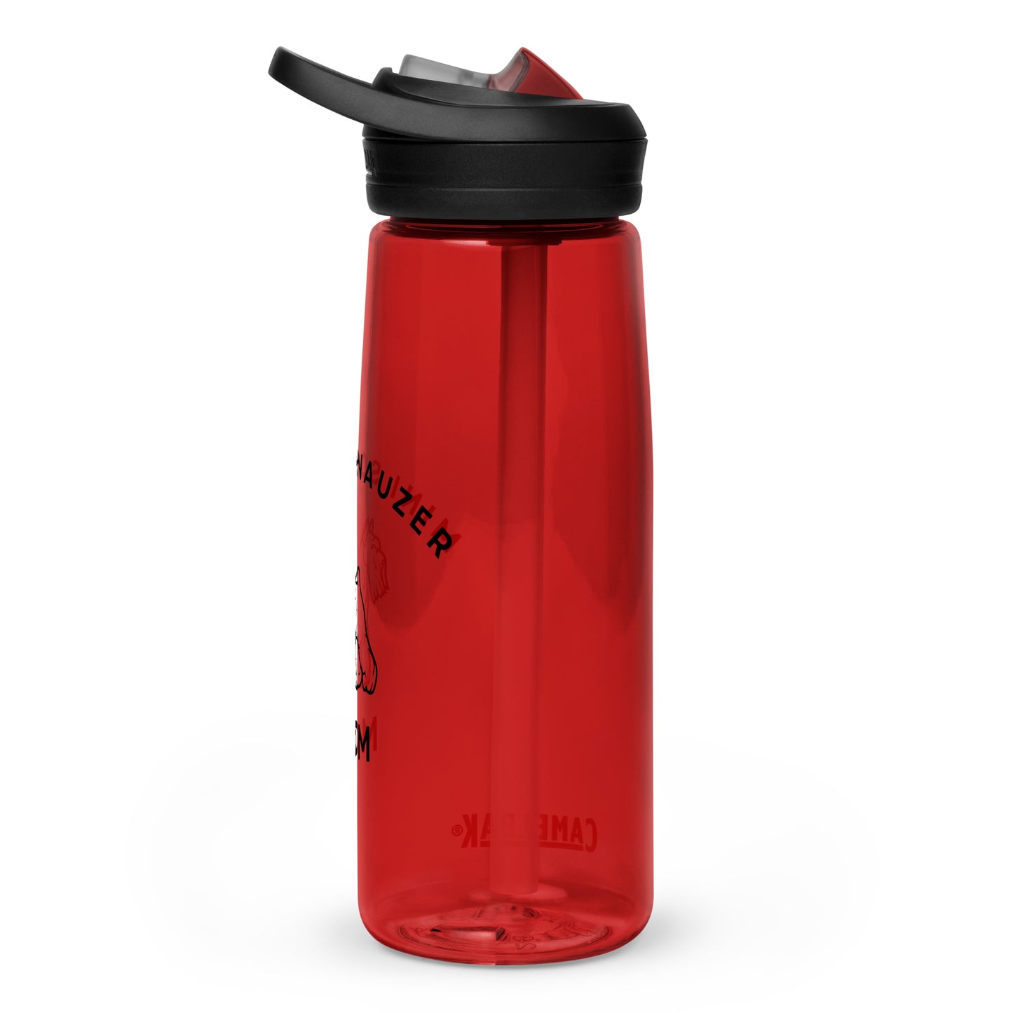 Sports water bottle