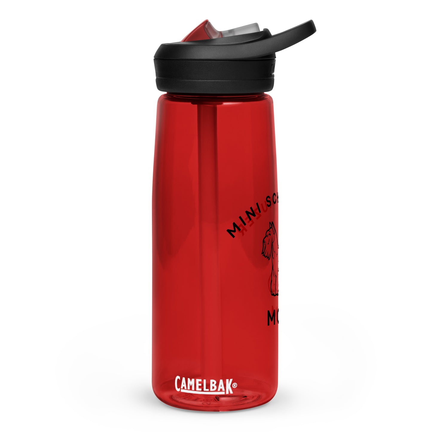 Sports water bottle