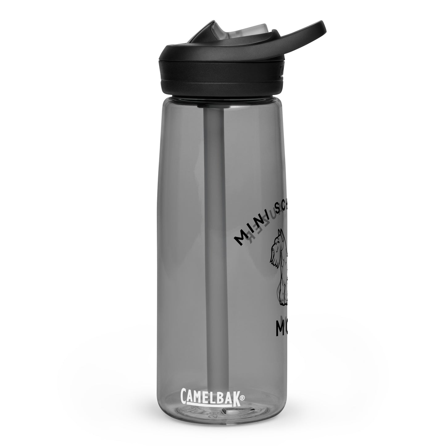 Sports water bottle