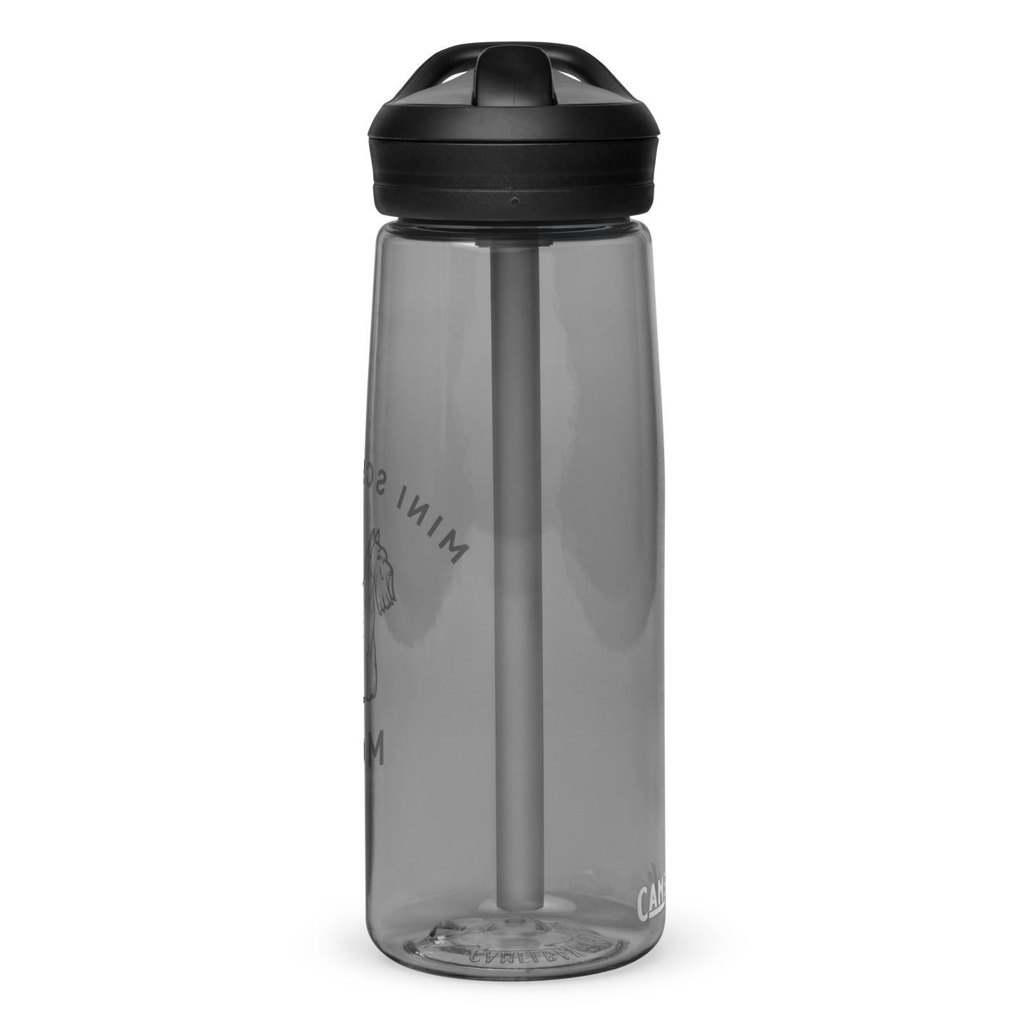 Sports water bottle