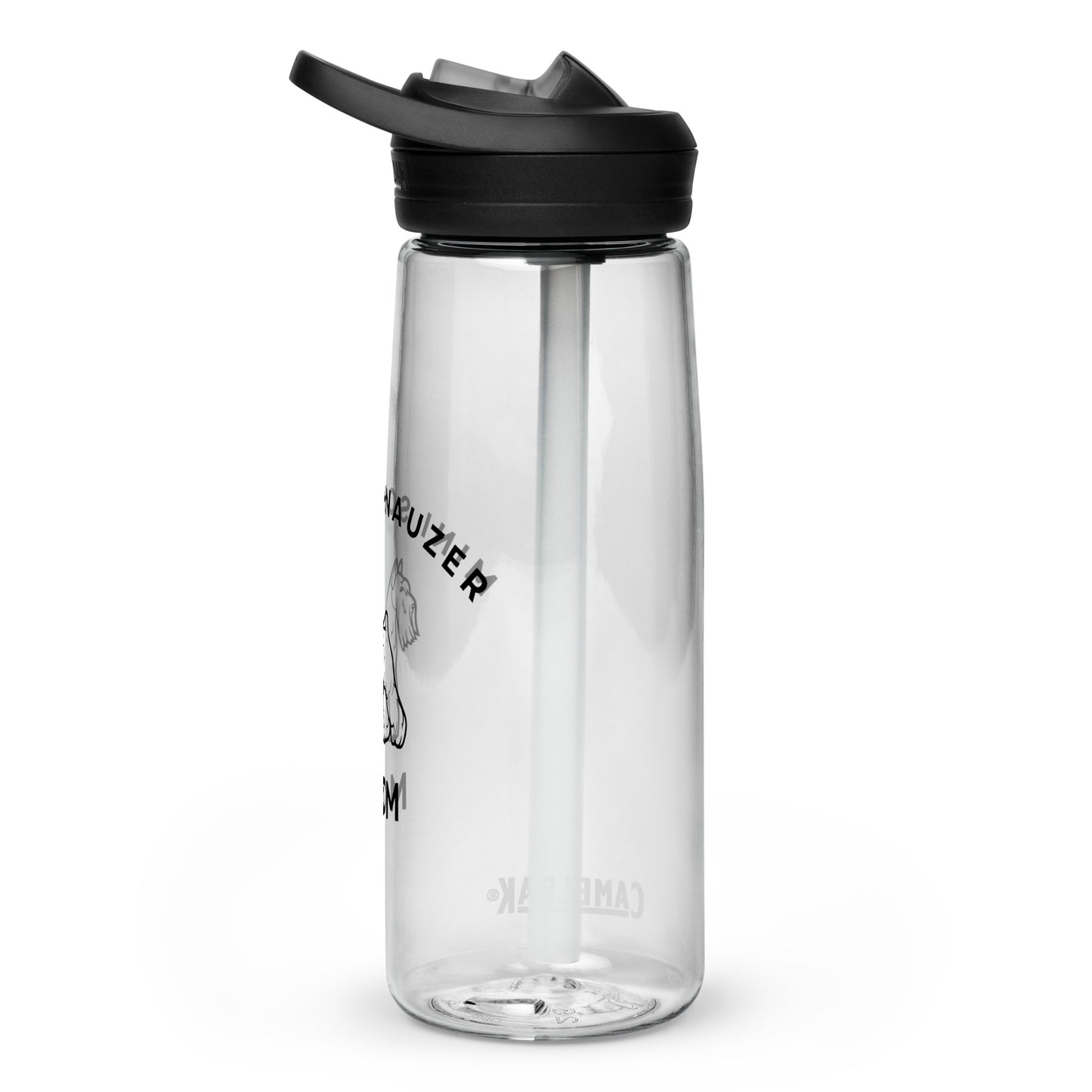 Sports water bottle