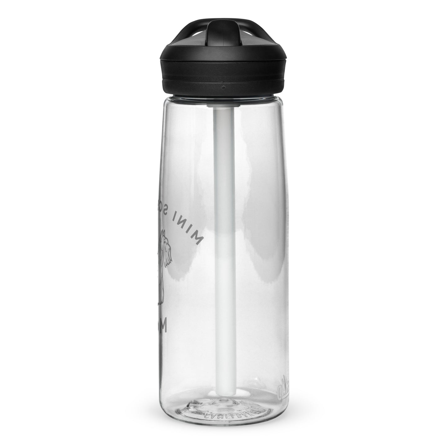 Sports water bottle